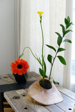 Load image into Gallery viewer, Considerably Huge Coaster in Spalted Maple II