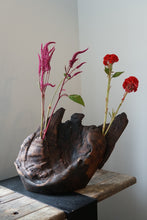 Load image into Gallery viewer, Invasive Thoughts While Standing by the Garbage Disposal