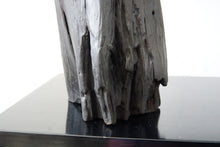 Load image into Gallery viewer, Best Friends Since Forever