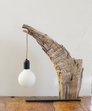Load image into Gallery viewer, Maple Tusk Lamp