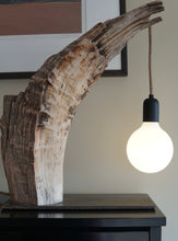 Load image into Gallery viewer, Maple Tusk Lamp
