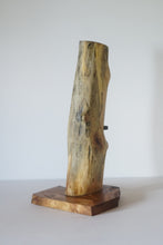Load image into Gallery viewer, Hickory Hollow Vase