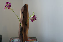 Load image into Gallery viewer, Wormwood Walnut Ikebana Vase Edition II
