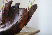 Load image into Gallery viewer, Invasive Thoughts While Standing by the Garbage Disposal

