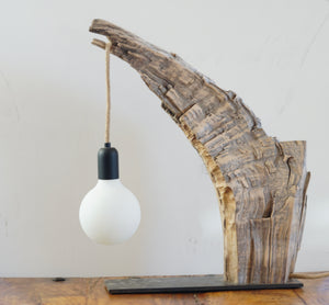 Maple Tusk Lamp
