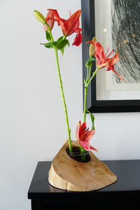 Considerably Huge Coaster (vase and candle holder)