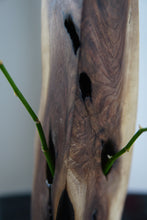 Load image into Gallery viewer, Wormwood Walnut Ikebana Vase Edition II
