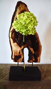 Hickory Standing Form