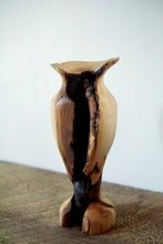 Load image into Gallery viewer, Most of a Vase
