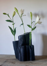 Load image into Gallery viewer, Yakisugi Candelabra Vase
