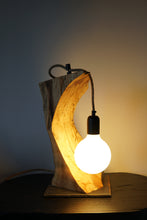 Load image into Gallery viewer, Cave Study Table Lamp
